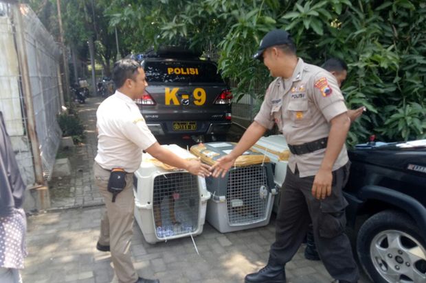 Tiga Ekor Anjing K-9 Diserahkan ke Polres Pekalongan