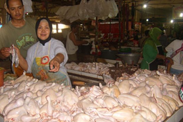 Menjelang Natal, Harga Daging Ayam di Daerah Ini Naik