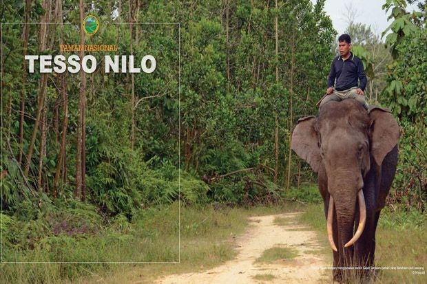 Perambah Taman Nasional Riau Diamankan