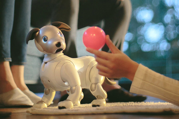 Usai Kucing, Sony Luncurkan Robot Anjing Aibo di Jepang