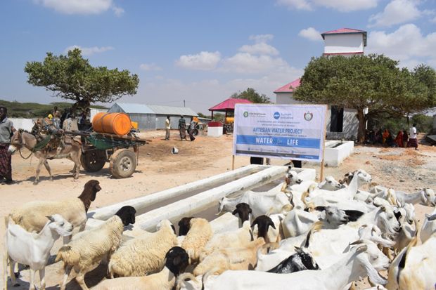 Bencana Kekeringan, PKPU-HI Lanjutkan Pembangunan Sumur di Somalia