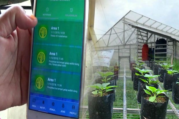 Sistem Pertanian Berbasis Aplikasi Diuji Coba Petani Cabai