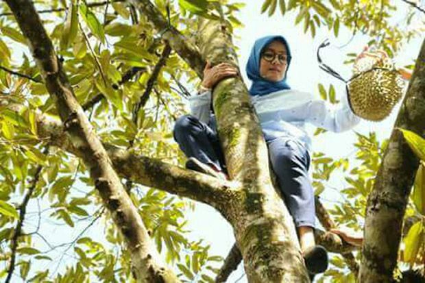 Bupati Lebak Panjat Pohon Durian, Warganet: The Power of Emak-Emak