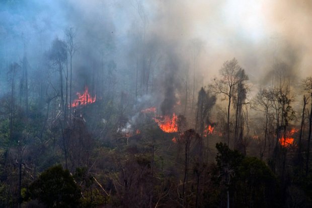 Kebakaran Lahan Kembali Melanda Riau
