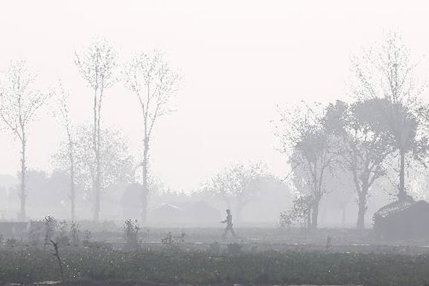 India Siapkan Anggaran Rp3 Triliun untuk Atasi Polusi