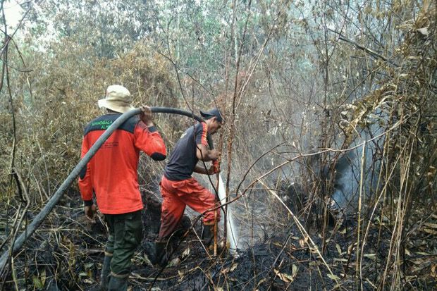 4 Provinsi Siaga Darurat Kebakaran Hutan dan Lahan