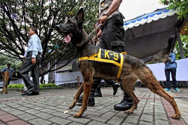 Polisi Kerahkan Anjing Pelacak Cari Posisi Korban Tertimbun Longsor Brebes