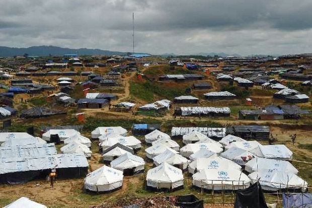 Gajah Liar Mengamuk di Kamp Pengungsi Rohingya, Dua Tewas