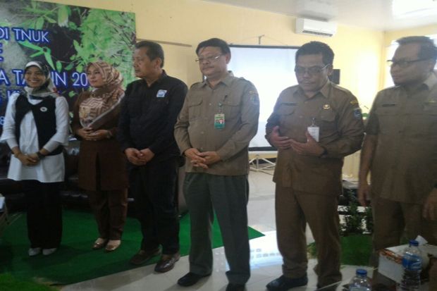 Strategi Pemerintah Jaga Populasi Badak Jawa di Ujung Kulon