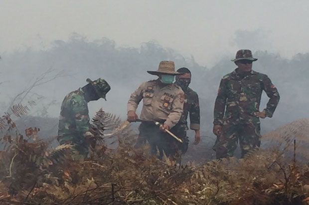 Dua Bulan Terakhir, 156 Hektare Lahan Terbakar di Kotawaringin Barat