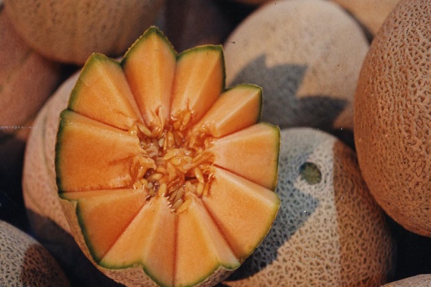 Keracunan Melon, 3 Warga Australia Tewas