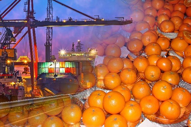 Beras dan Jeruk Mandarin Bikin Impor RI Naik Drastis