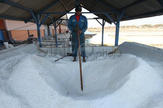 Luhut: Pengalihan Kewenangan Impor Garam Sudah Tepat