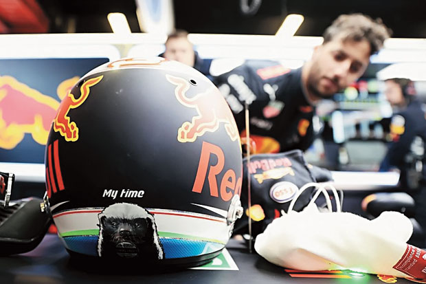 Filosofi Gambar Musang Madu di Helm Balap Daniel Ricciardo