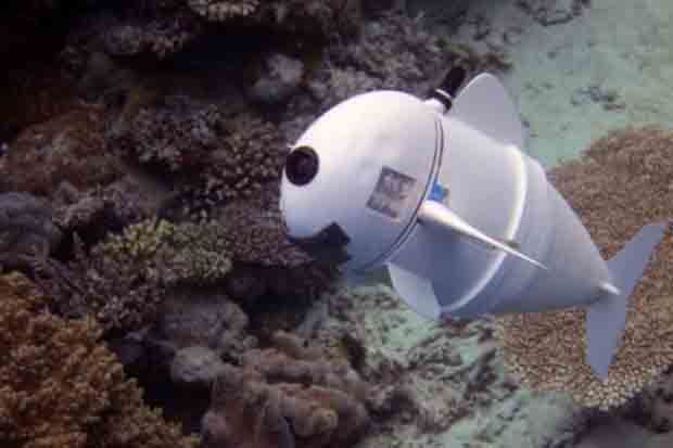 Robot Ikan Generasi Baru