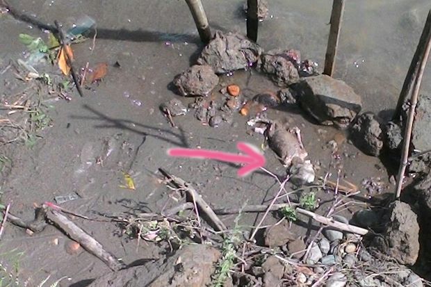 Warga Gempar, Jasad Bayi Ditemukan Mengapung di Sungai