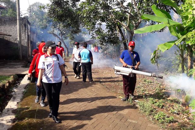 Banyak Jentik Nyamuk, Warga Semarang Minta Perindo Lakukan Fogging