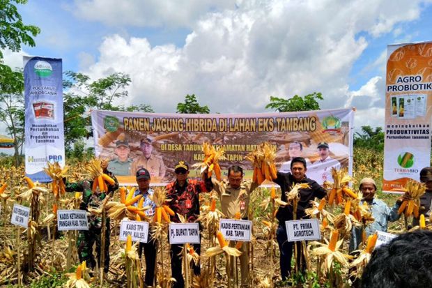 Prima Agro Tech Sulap Lahan Bekas Tambang Jadi Areal Tani Produktif