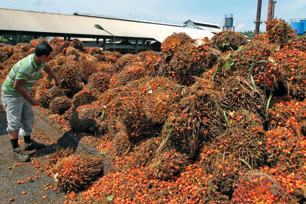 Ekspor Minyak Sawit Indonesia Turun 370.770 Ton