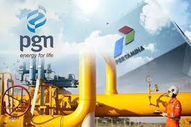 Pertamina-PGN Paparkan Perkembangan Holding Migas ke DPR