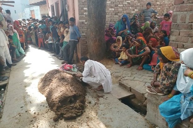 Dikubur Hidup-hidup dalam Kotoran Sapi, Wanita India Tewas