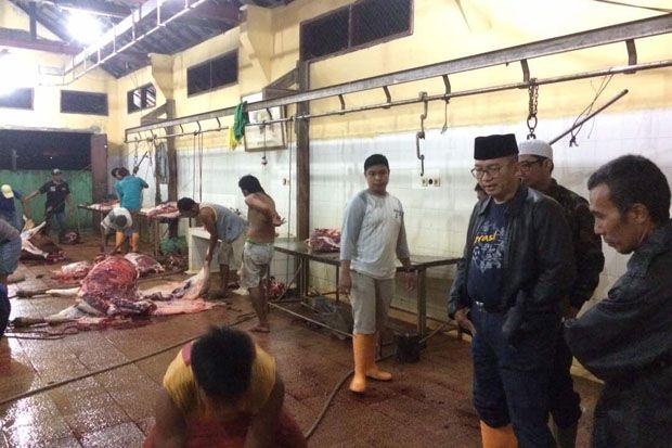 Penjual Daging Wajib Potong Sapi di Rumah Potong Hewan