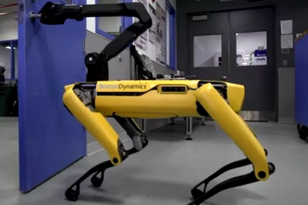 Robo-dog Diluncurkan Tahun Depan