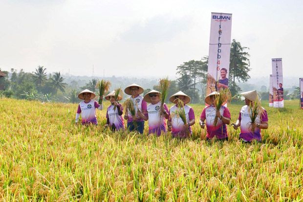 Menteri Rini Serap 4.700 Ton Gabah Petani di Garut