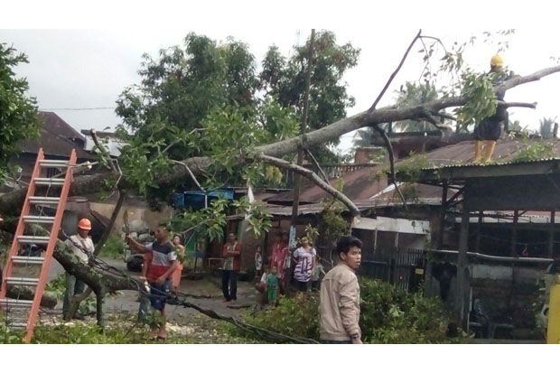 Sejumlah Rumah di Kampung Jawa Tertimpa Pohon