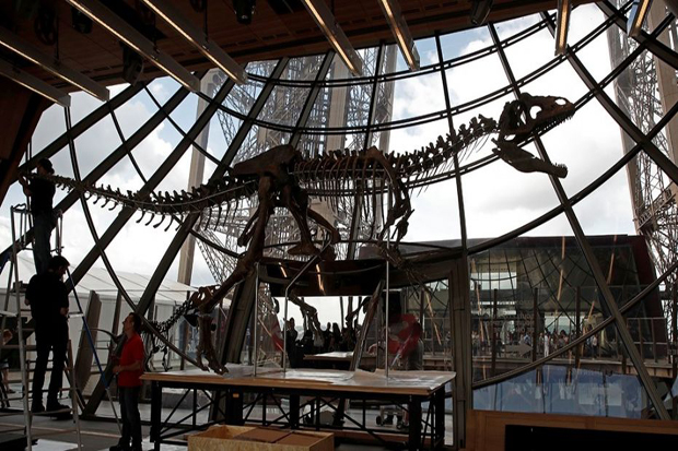 Fosil Dinosaurus Dibungkus Seniman Asal Prancis