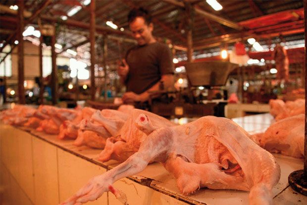 Menjelang Lebaran, Harga Daging Ayam Mulai Meroket