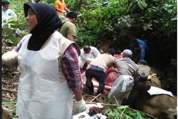 Menteri Siti: Kementerian LHK Serius Tangani Kematian Gajah