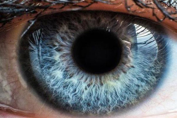Bantu Penglihatan, Peneliti Australia Ciptakan Kornea 3D