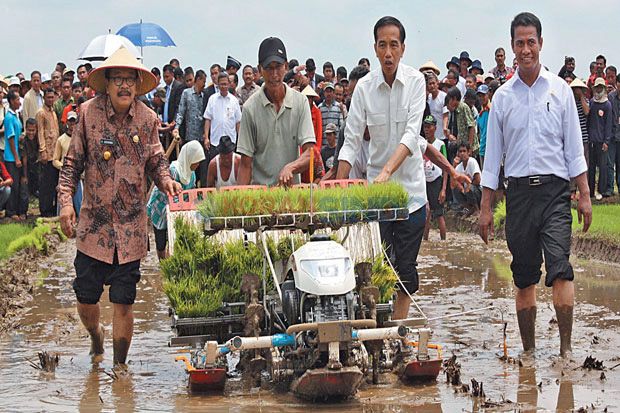 Jokowi: Petani Harus Berdaya Seperti Korporasi