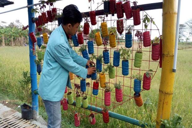 Mahasiswa UNS Kembangkan Taman Vertical Garden