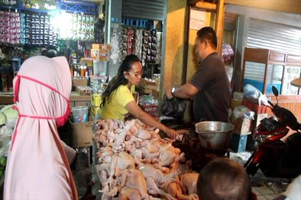 Harga Pakan Naik, Harga Daging Ayam Tembus Rp42.000/Kg