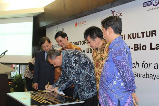 Kalbe Farma Gandeng Korea Bangun Laboratorium Budidaya Bibit