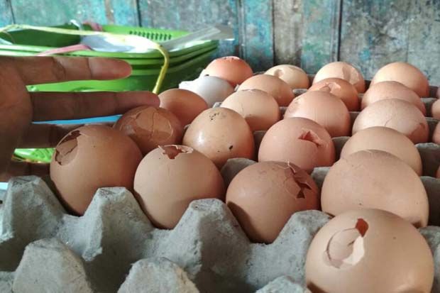 Telur Sortiran alias Telur Bentesan Mendadak Jadi Rebutan Warga