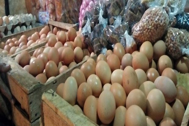 Harga Telur di Majalengka Mulai Menurun