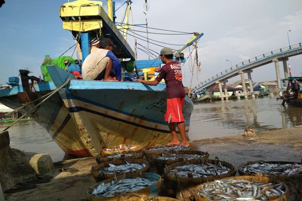 Nelayan Karawang Banyak yang Tidak Punya SIPI Saat Melaut