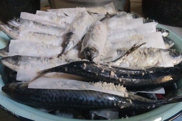 Ikan Pindang Randengan Kulon Pelengkap Lezat Santapan Nasi Liwet