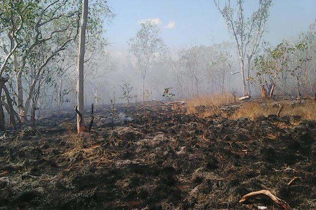TNI dan Warga Padamkan Kebakaran Hutan Lewotobi Flores Seluas 2,5 Ha