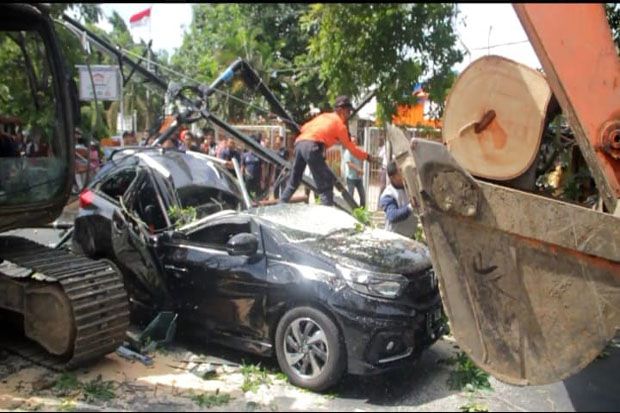 Mobil dan Motor Ringsek Tertimpa Pohon Tumbang, Satu Tewas