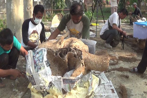 Makam Gajah Milik Bonbin Curug Sewu Kendal Dibongkar