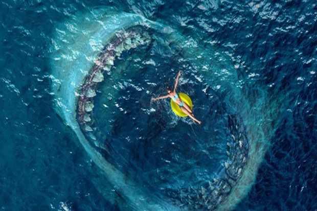 10 Film Teror Hiu Terbaik dari Era Jaws hingga Kini