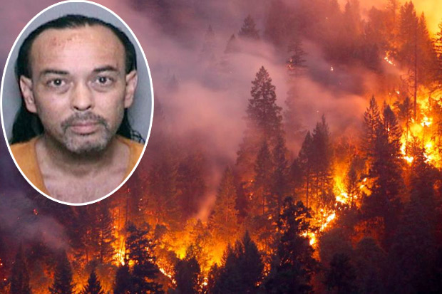 Terduga Pemicu Kebakaran Hutan California Terancam Dibui