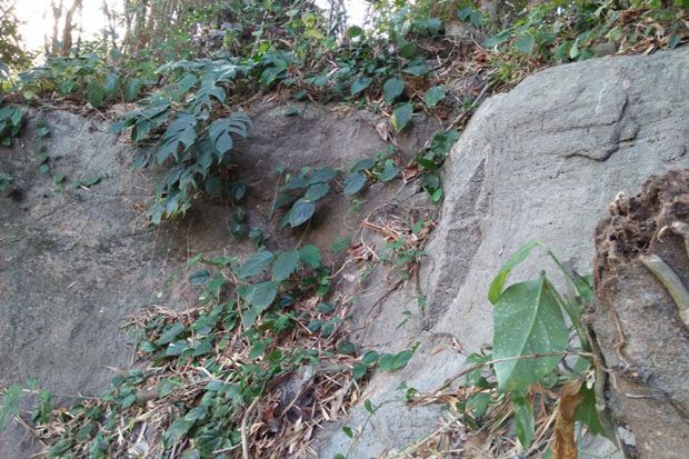 Puluhan Tahun Diabaikan Warga, Batu Itu Ternyata Arca Ganesha Raksasa