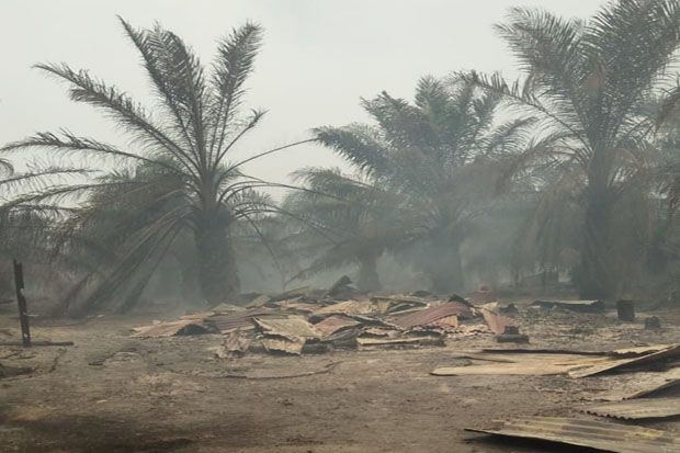 Kebakaran Hutan Hanguskan Puluhan Rumah Penduduk di Rokan Hilir