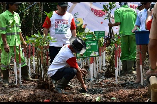 Rayakan HUT RI, KLHK Ajak Generasi Muda Tanam Mangrove