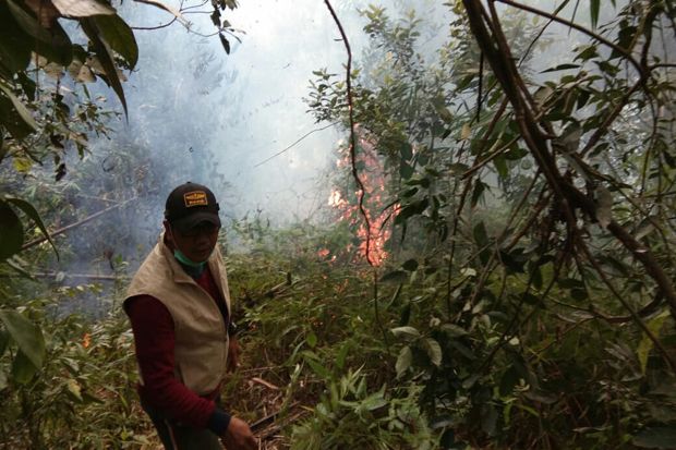 Lupa Padamkan Api, 2 Hektare Lahan, Terbakar di Sesean